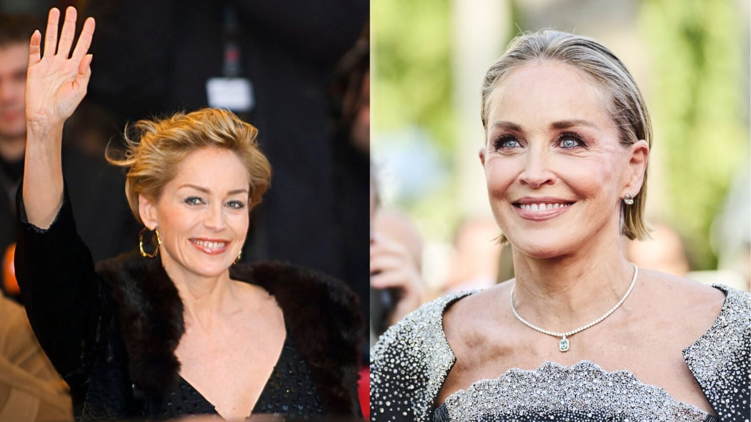 sharon stone movies